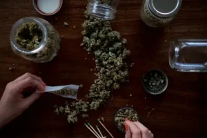Cannabis-Harz lösen – Welche Stoffe Harzrückstände lösen und worauf bei der Reinigung zu achten ist